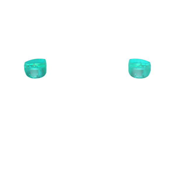 PF L2 R2
