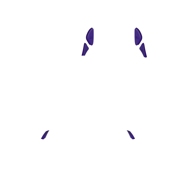 PF Phantom Back Button