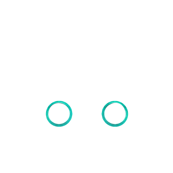 P SF GHOST Decorate Rings