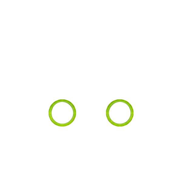 P SF GHOST Decorate Rings