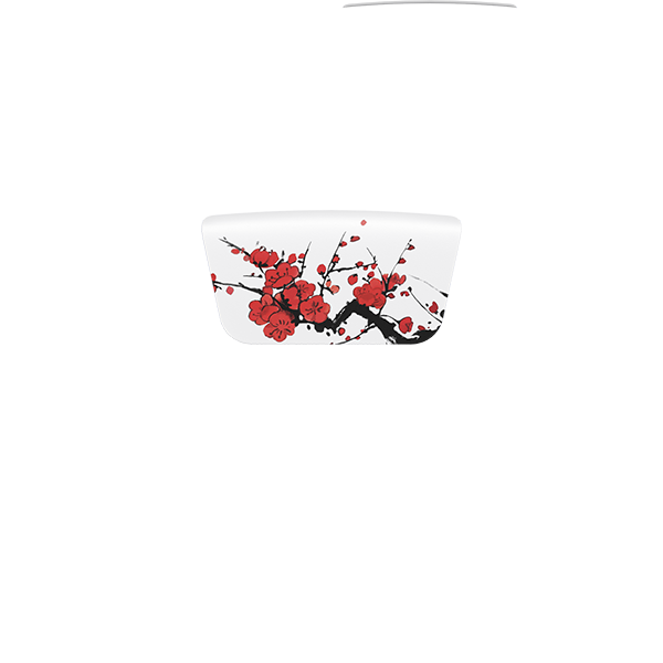 PF LUNA Touchpad