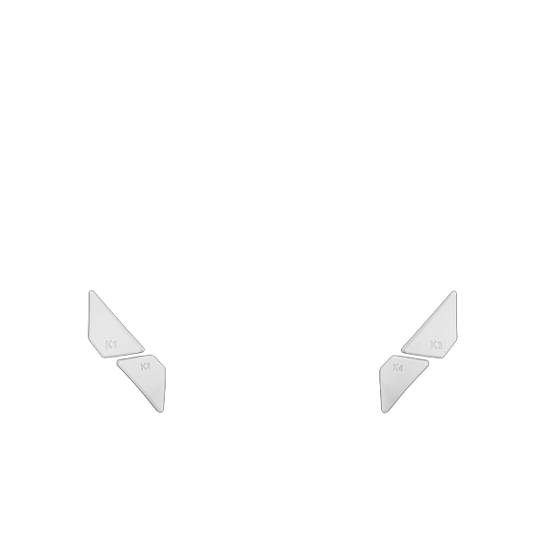 P SF EDGE Back button