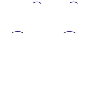 P SF L1R1