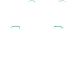 P SF L1R1