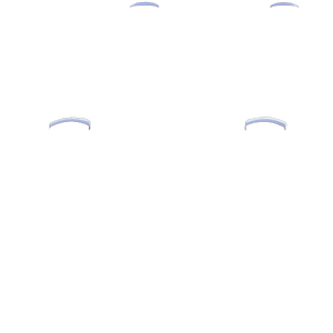 P SF L1R1
