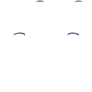 P SF L1R1
