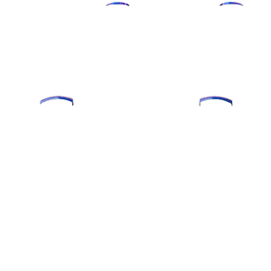 P SF L1R1