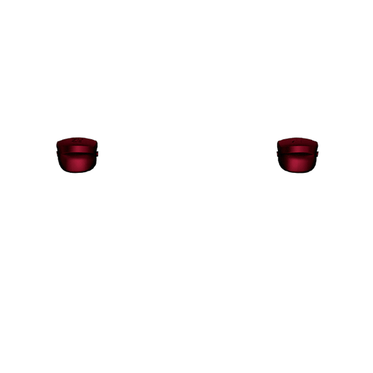 P SF L2R2