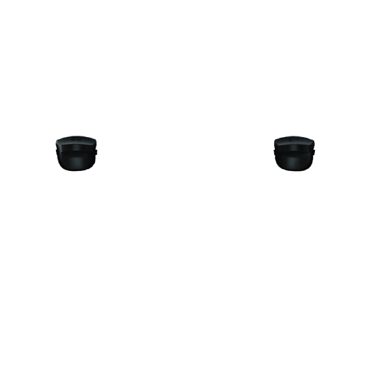P SF L2R2