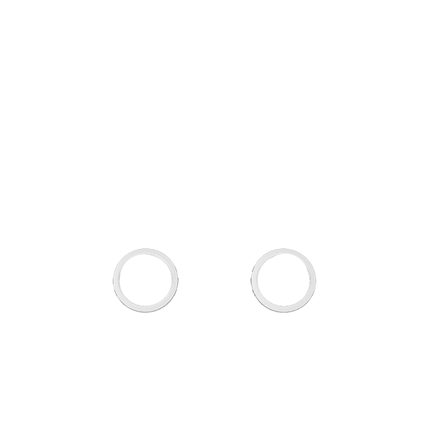 P4 GHOST Decorate Rings