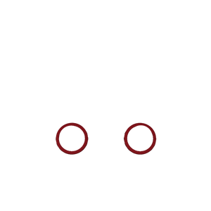 P4 GHOST Decorate Rings