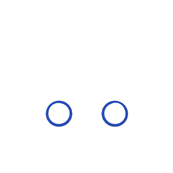 P4 GHOST Decorate Rings