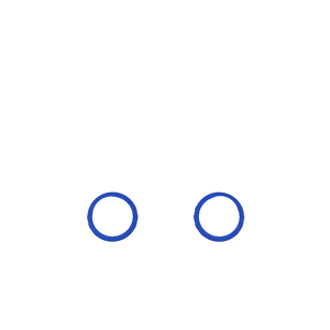 P4 GHOST Decorate Rings