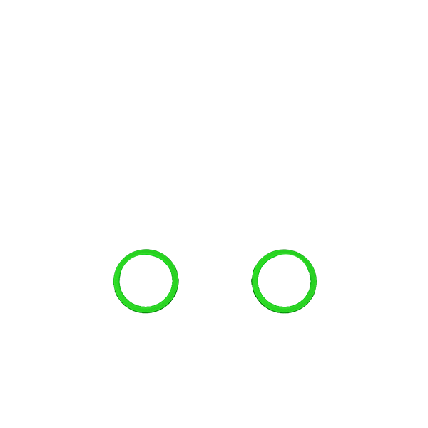 P4 GHOST Decorate Rings