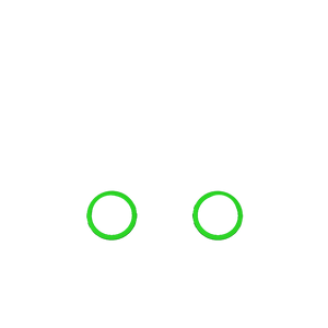 P4 GHOST Decorate Rings