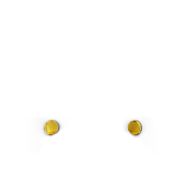 P SF SPIKE Back button