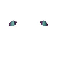 画像をギャラリービューアに読み込む, X1 LT RT
