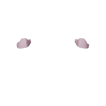 画像をギャラリービューアに読み込む, X1 LT RT
