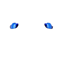 画像をギャラリービューアに読み込む, X1 LT RT
