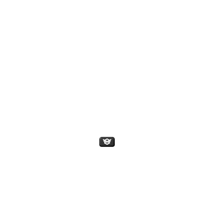 P SF HPYER LOGO