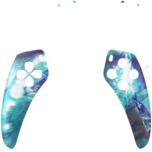 PF FACE 2
