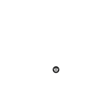 Load image into Gallery viewer, PF LOGO
