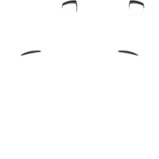 PF L1 R1