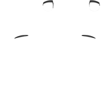 Load image into Gallery viewer, PF L1 R1
