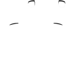 PF L1 R1