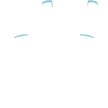 Load image into Gallery viewer, PF L1 R1

