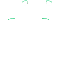 Load image into Gallery viewer, PF L1 R1
