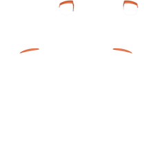 Load image into Gallery viewer, PF L1 R1
