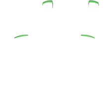 Load image into Gallery viewer, PF L1 R1
