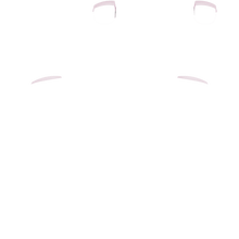 Load image into Gallery viewer, PF L1 R1
