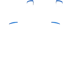 Load image into Gallery viewer, PF L1 R1
