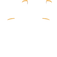 Load image into Gallery viewer, PF L1 R1
