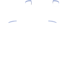 Load image into Gallery viewer, PF L1 R1
