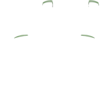 Load image into Gallery viewer, PF L1 R1
