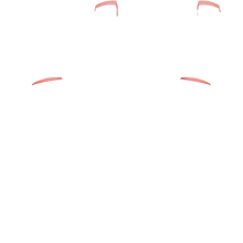 Load image into Gallery viewer, PF L1 R1

