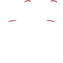 Load image into Gallery viewer, PF L1 R1
