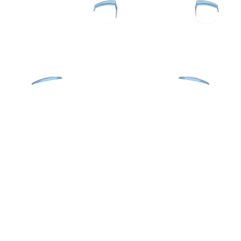 Load image into Gallery viewer, PF L1 R1
