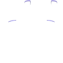 Load image into Gallery viewer, PF L1 R1
