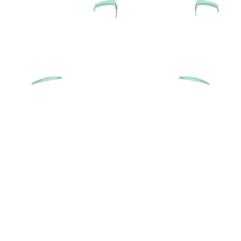 Load image into Gallery viewer, PF L1 R1
