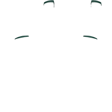 Load image into Gallery viewer, PF L1 R1
