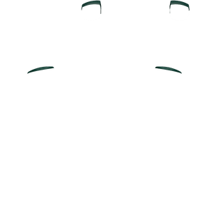 PF L1 R1