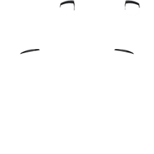 Load image into Gallery viewer, PF L1 R1
