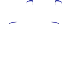 Load image into Gallery viewer, PF L1 R1
