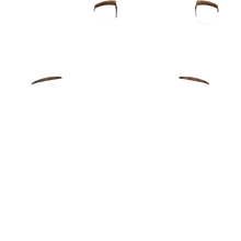 Load image into Gallery viewer, PF L1 R1
