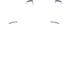 Load image into Gallery viewer, PF L1 R1
