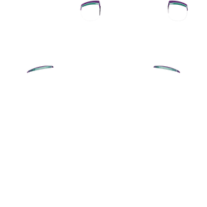 PF L1 R1